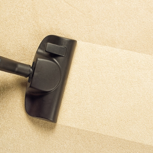 Carpet Cleaning Services